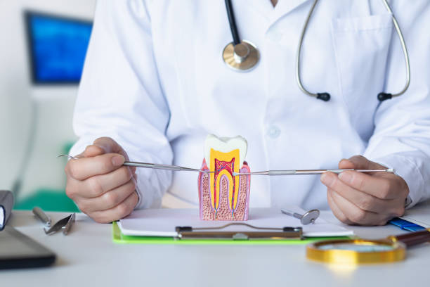 Best Tooth Infection Emergency Dentist  in Whitefish, MT
